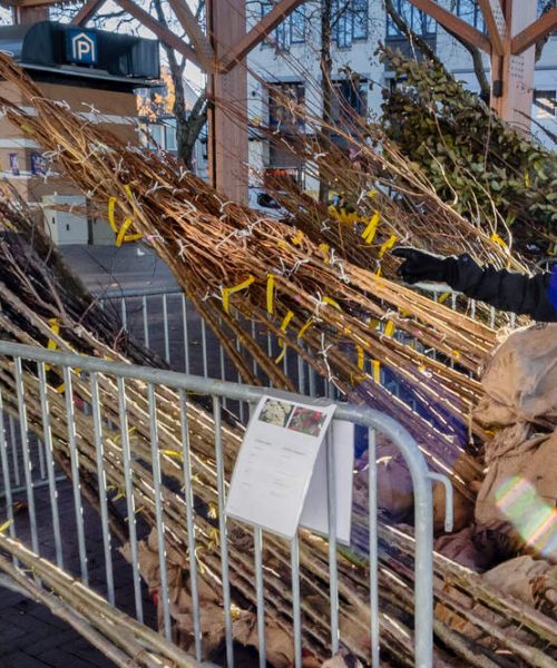 Apeldoorn start met aanmelding voor actie Boompje Erbij