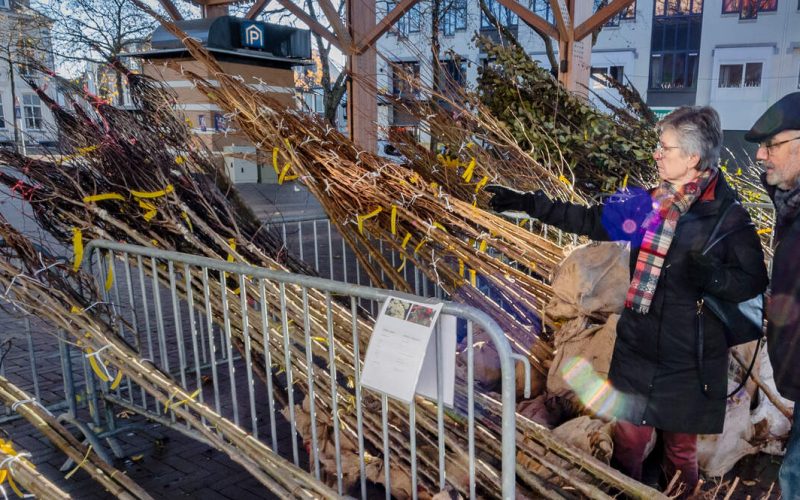 Apeldoorn start met aanmelding voor actie Boompje Erbij